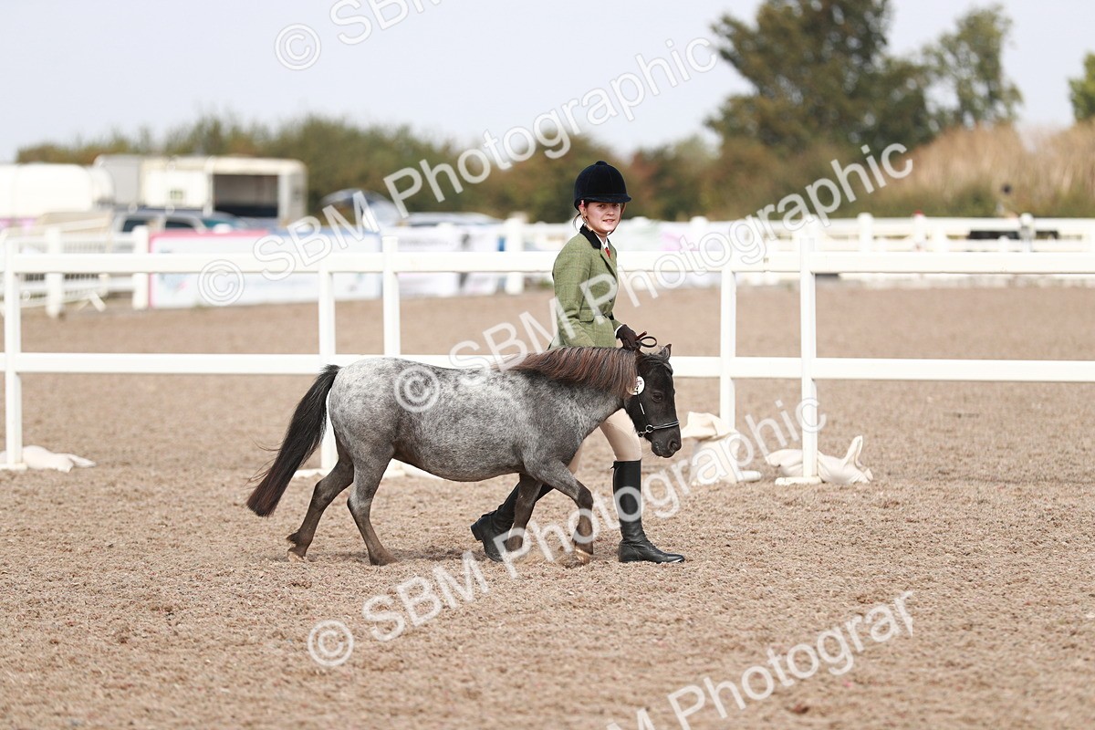 SBM_13813 - Class 209 IH Veteran Pony