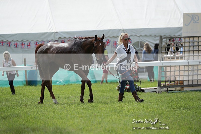 PtP 070523 254 - Kimblewick Races Coronation Meet  Kingston Blount 07/05/23