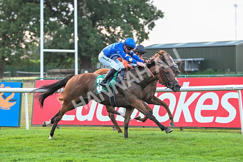 150825-Race 5-Jez Bomb-2992 - Race 5