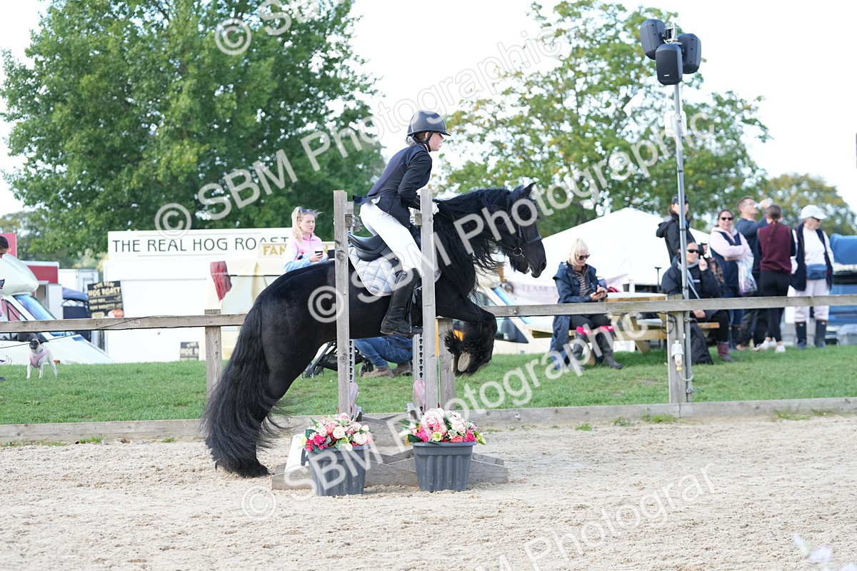 SBM_17911 - J58 - Clear Round 50cm