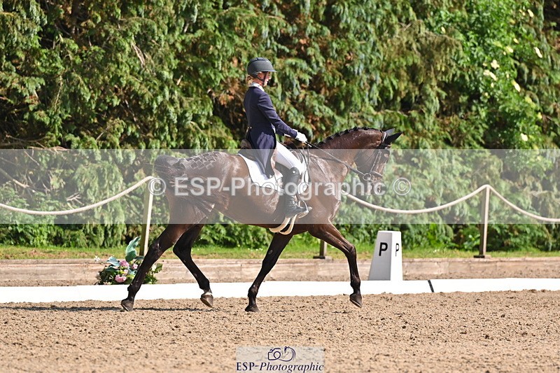 250523A-163848-08119 - B-379-Kelli.Frewin-HIDDEN.GOLD