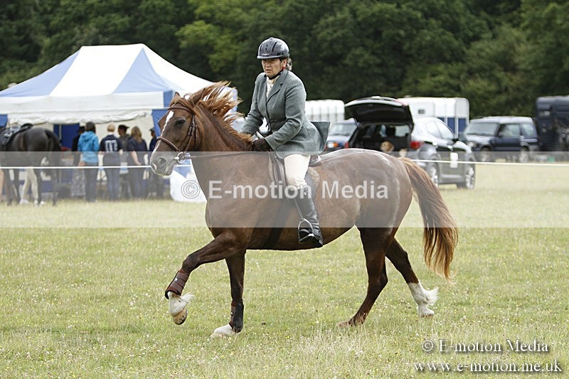 BVR160717-398 - Ring 3 BVRC Show 16/07/17