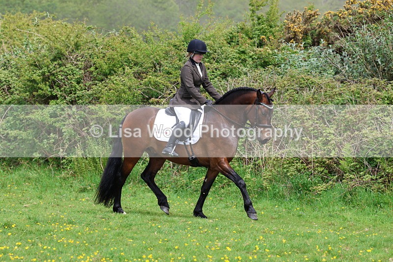 3E7A1708 - Class 9: Riding Club Horse/Pony