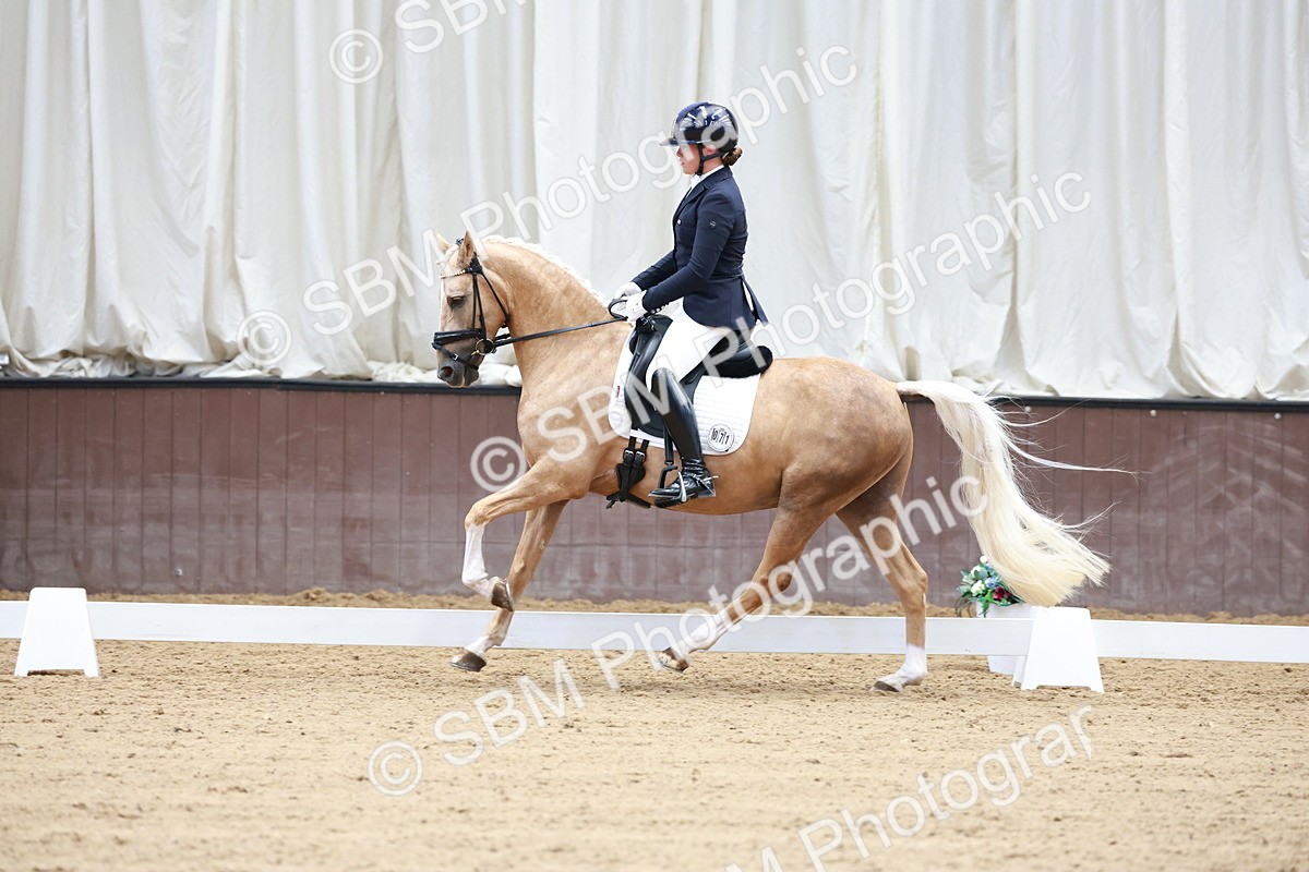 SBM_017326 - Class15 - FEI Pony