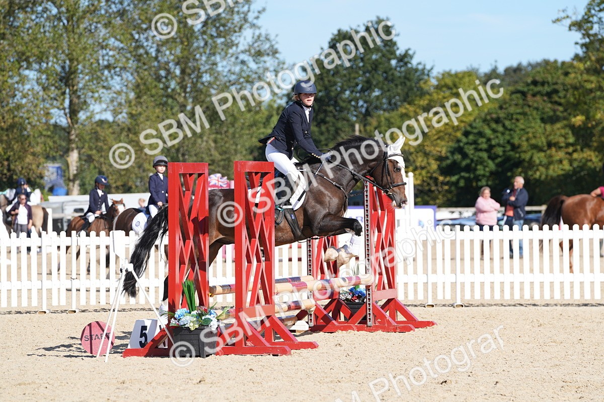 SBM_38650 - J21 - Junior Horse 60cm Championship