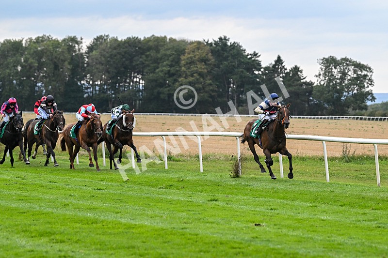 060925-Race 6-Bosphorus Rose-6006 - Race 6