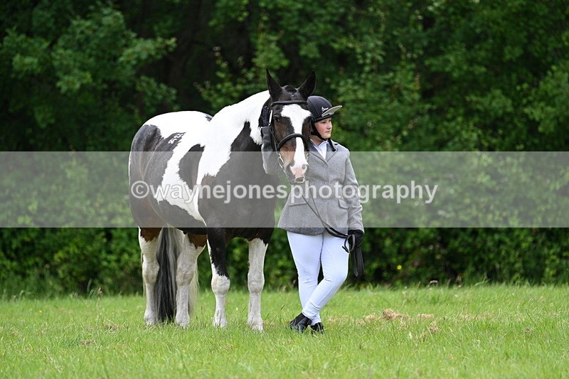WJ7_4161 - Class 14A Handsome Gelding
