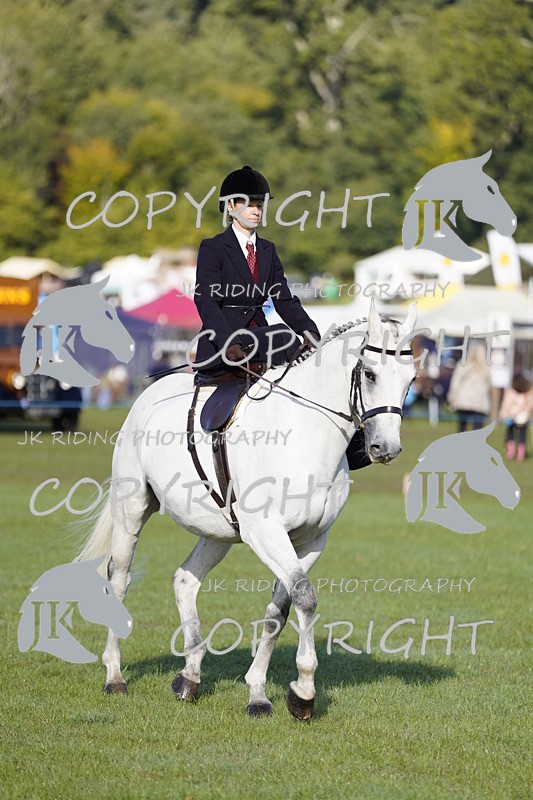 _DSC9470 - Class 8 & 17 Ridden Hunter & Ridden Hunter Pony