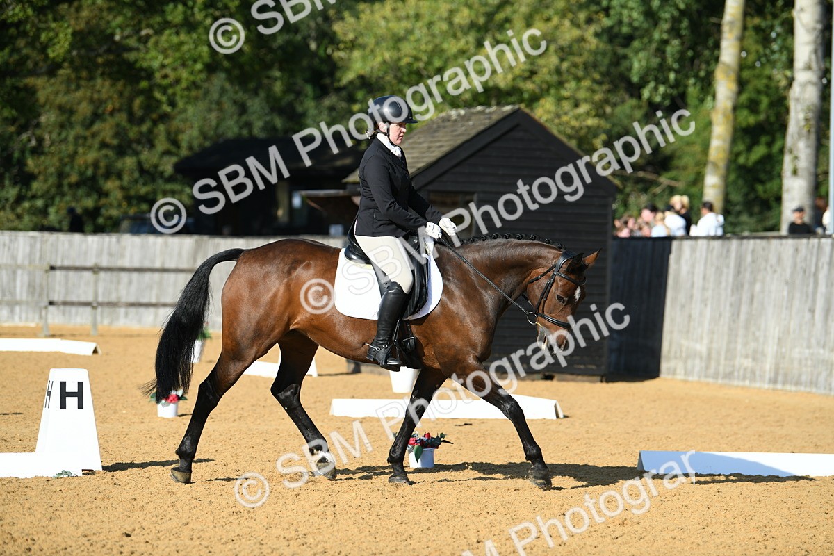 SBM_28408 - D16 - Small Tour Championship - Novice 28