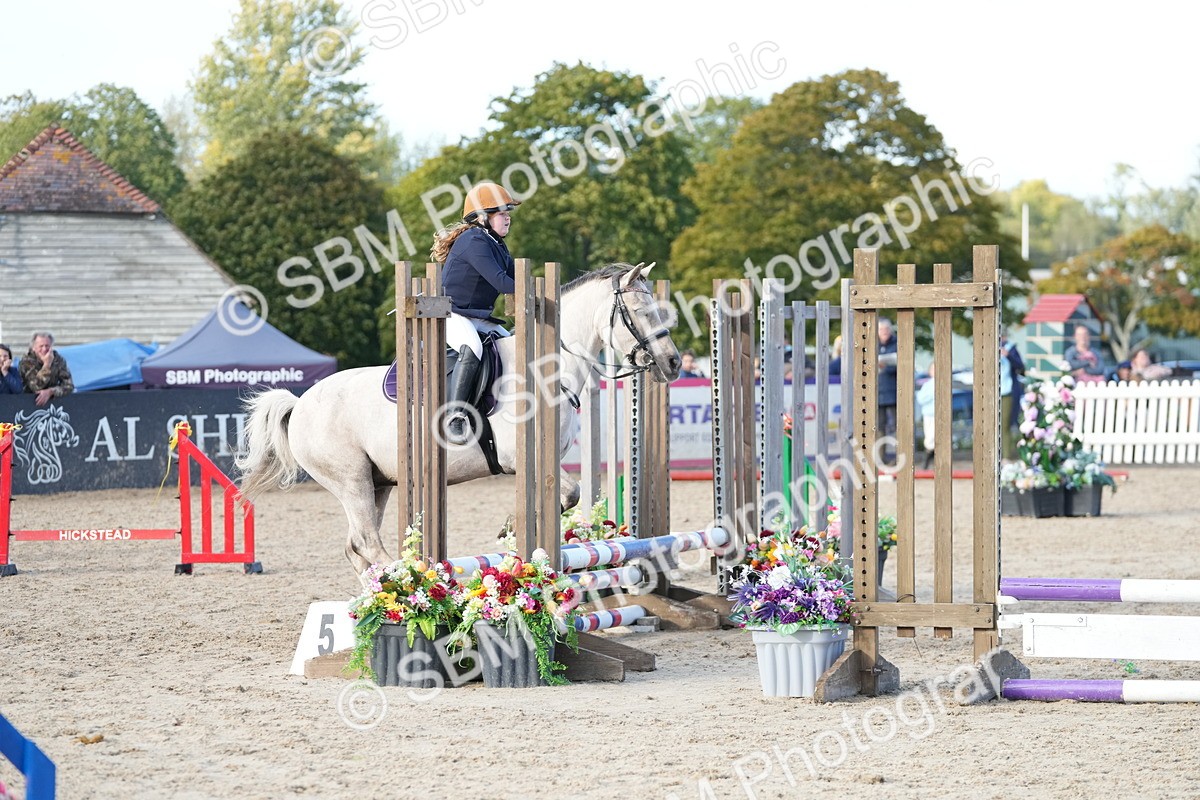 SBM_29145 - J43 - Horse & Hound Open 50cm