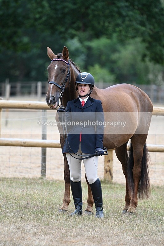 WJ7_9841 - Class 5a Most Handsome Gelding (above 14.2hh)