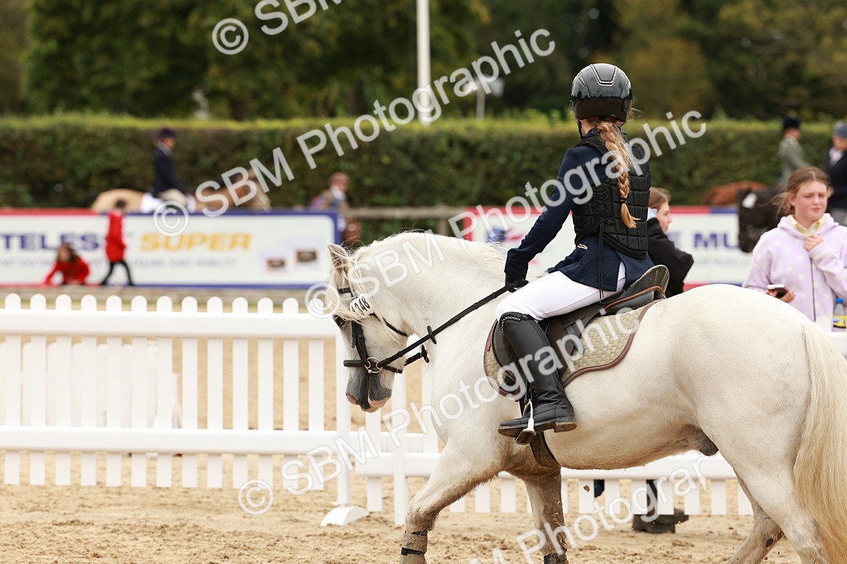 SBM_63777 - J12 - Junior Pony 55cm Championship