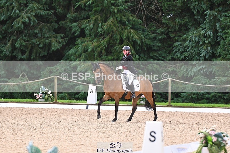 240809-104628-00387 - 173-Daisy.Winkle-Decandro.Hit.LDS