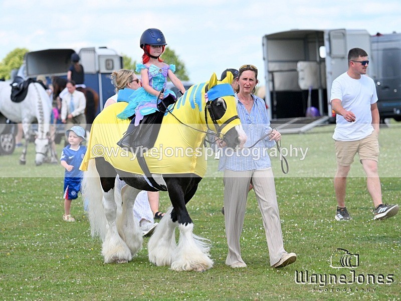 WJ7_7753 - Nancy And Churchill SORC summer show 21-06-26