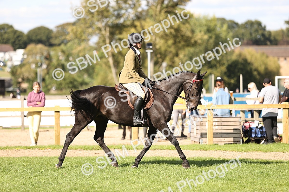 SBM_26385 - S6 - Novice & Newcomers Ridden Horse