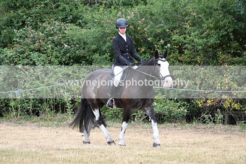 WJ7_0128 - Class 2 Best rider