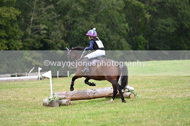 WJ7_7369 - 40cm Time 10:06 to 10:24