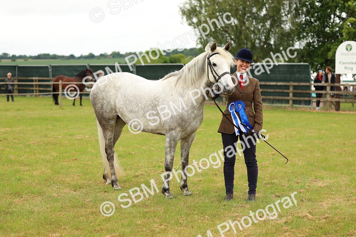 SBM_04297 - Class 64-67 - Shetland Pony In Hand