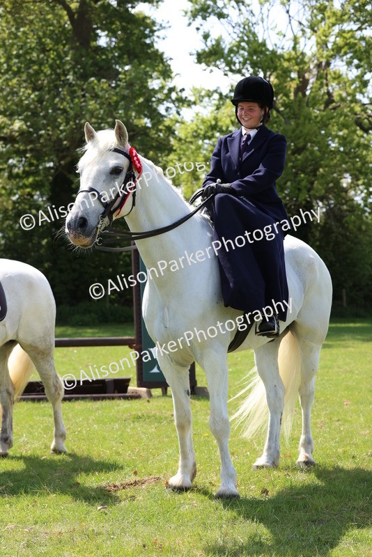 20250427-2638 - Class 20 - Working Hunter Ponies