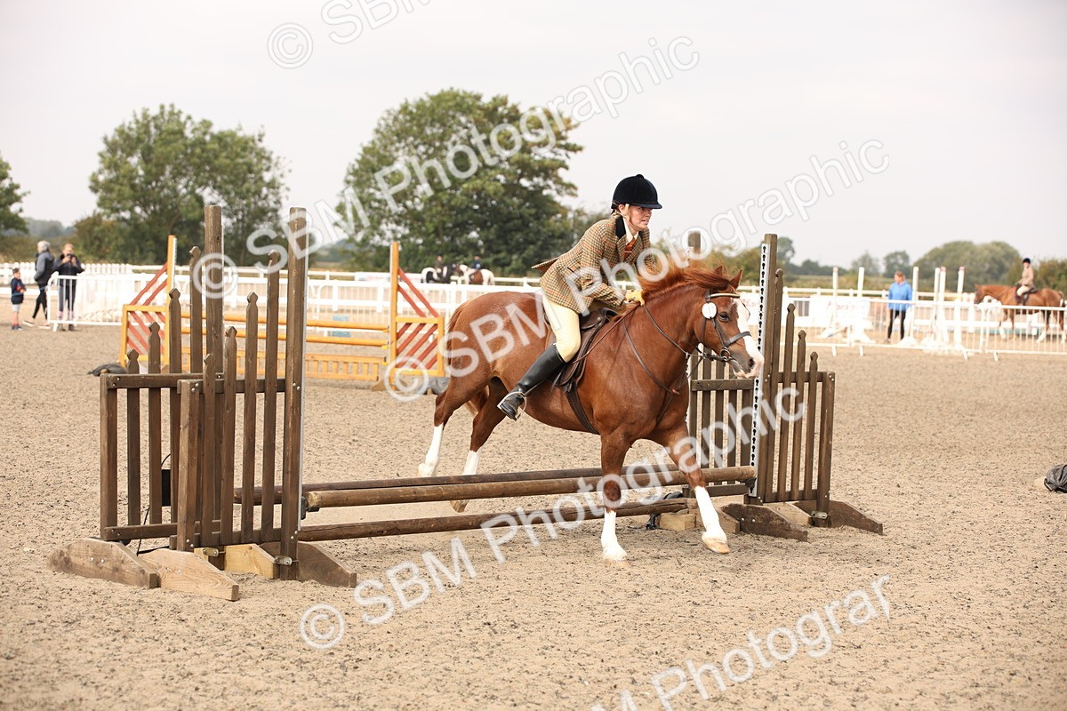 SBM_12269 - Class 405a - M&M Working Veteran 50cm (15-19)