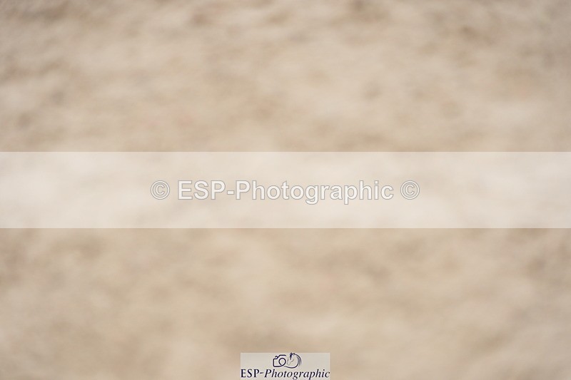 230924A-140928-06394 - 90 SJ 14.00 to End