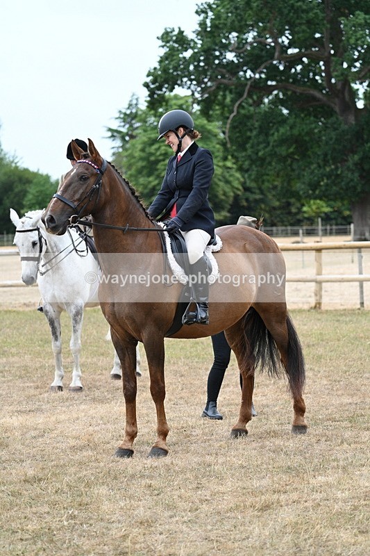 WJ7_0808 - Class 7 Riding Club Show Horse