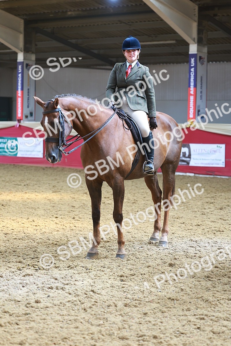SBM_12753 - HOYS Veteran Qualifier - Ridden Champ