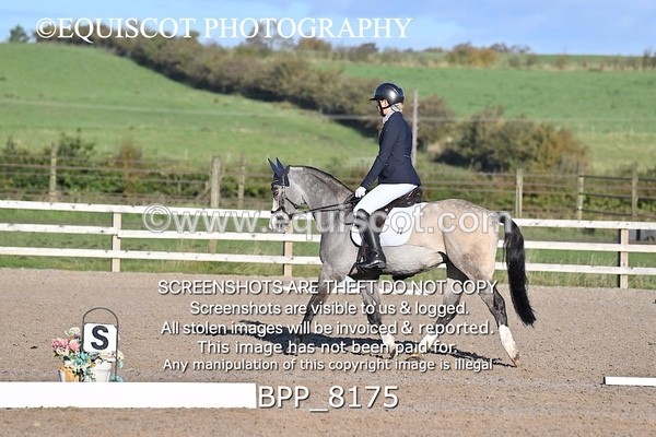 BPP_8175 - SHORT ARENA