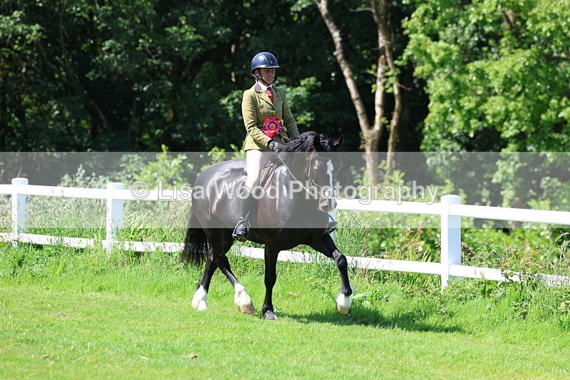3E7A6733 - Working Hunter Pony Championship