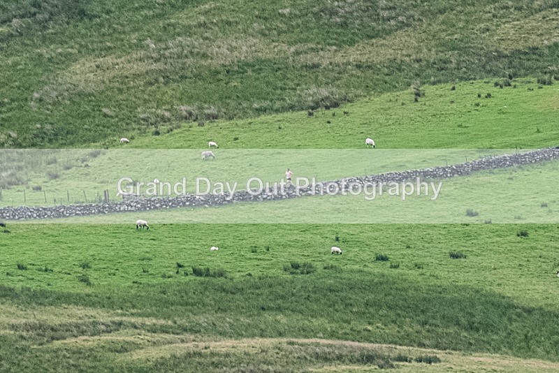 Skiddaw-4 - Skiddaw Fell Race Sunday 6th July 2025