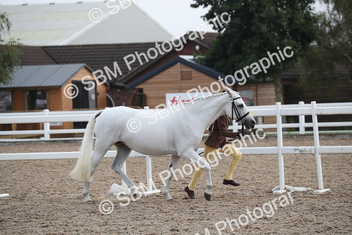 SBM_23080 - Class 605 - 2025 Area - IH Veteran