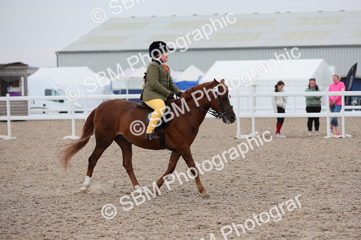 SBM_18163 - Class 316 Best Pony/Rider Combination
