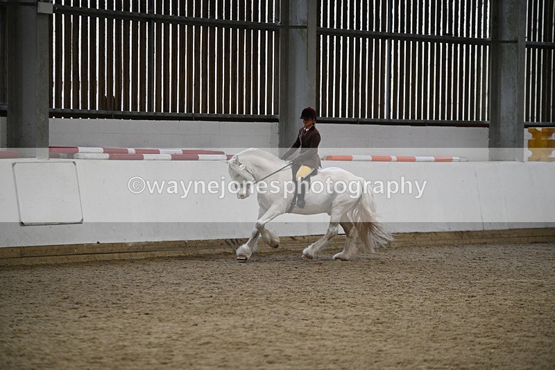 WJ7_3674 - Class 16 Ridden Coloured/ Odd Coloured