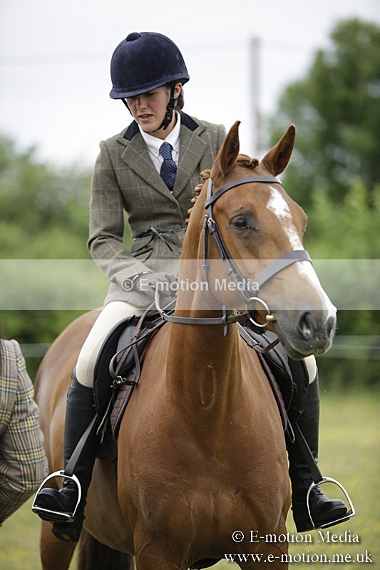 BVR160717-1061 - Ring 1 BVRC Show 16/07/17