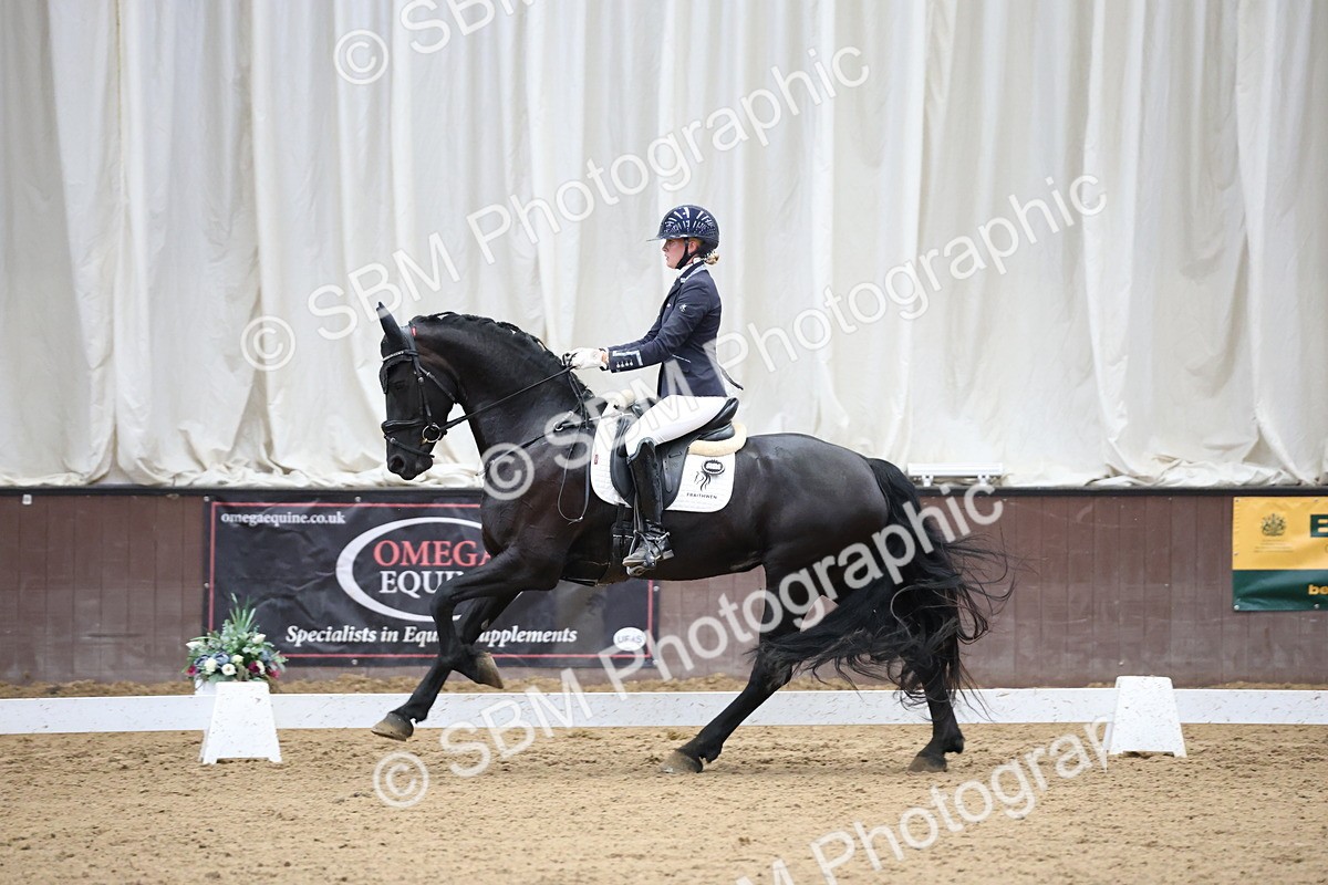 SBM_002798 - Class 5 - Novice 6 Gold - 10.24-11.30