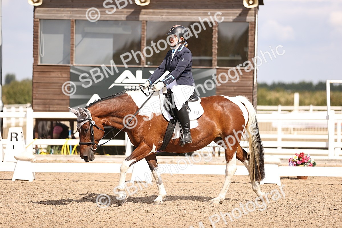 SBM_03729 - CLass 35 Intro 3