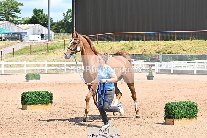 240718A-105317-01795 - Trot Up 1pm to 2pm