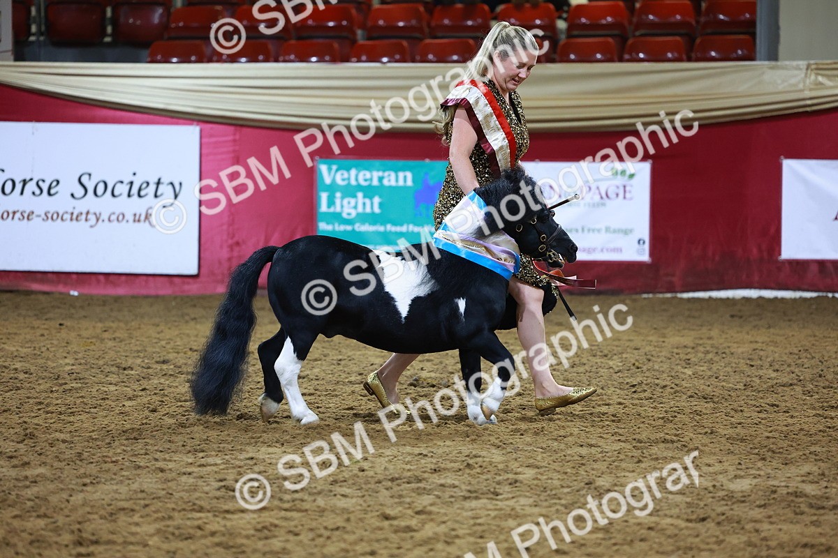 SBM_15321 - Class P - M&M Champ
