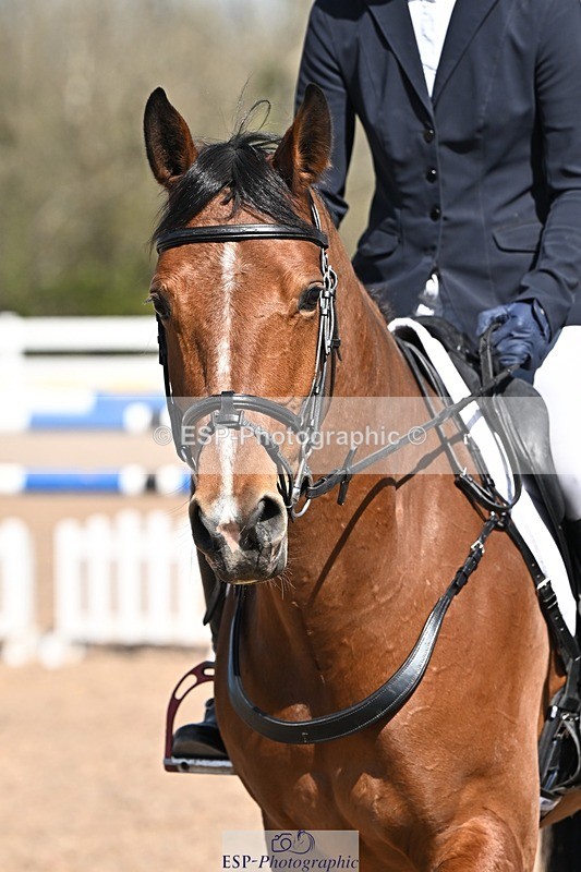 250409-120449-00451 - Snr 1.05m Open