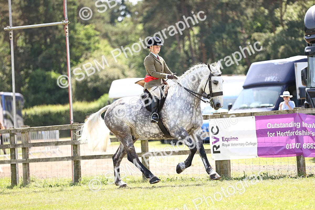 SBM_16187 - Class 79-80 - LIHS BSHA Rising Star Ridden Hunter