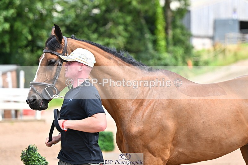 240718A-105303-01508 - Trot Up 12pm to 1pm