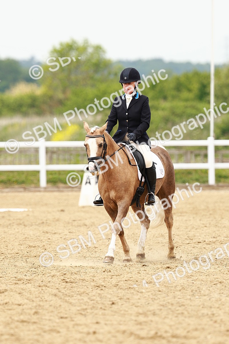 SBM_001782 - Class 7 - Novice 5