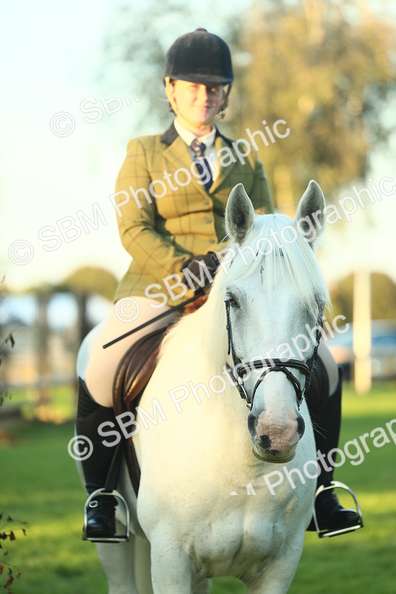SBM_56579 - S14 - Riding Club Horse