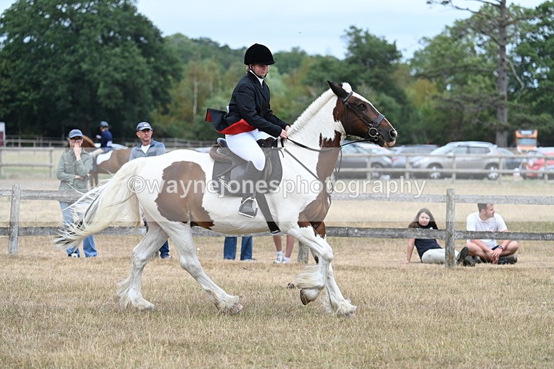 WJ7_1372 - Class 8 Ridden Veterans