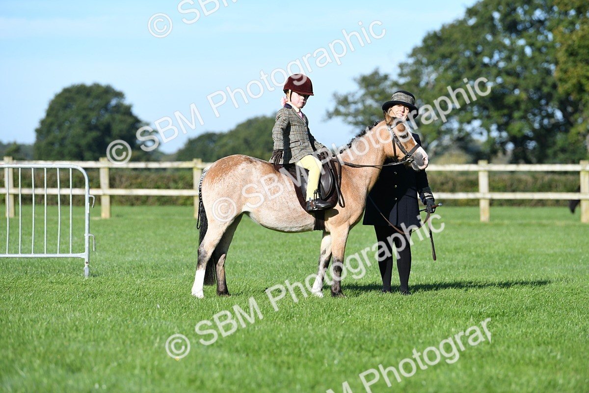 SBM_35354 - S17 - Condition & Turnout - Lead Rein