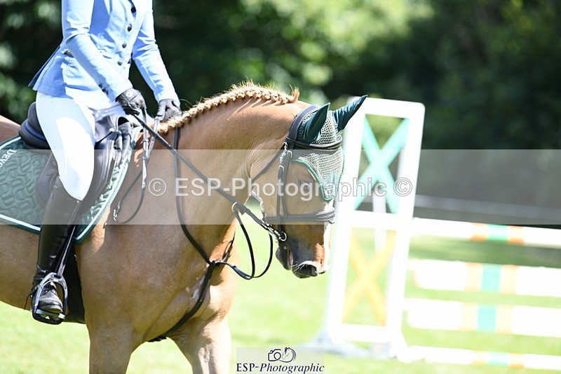 250703A-110953-00632 - Cls 11 5 Year Old