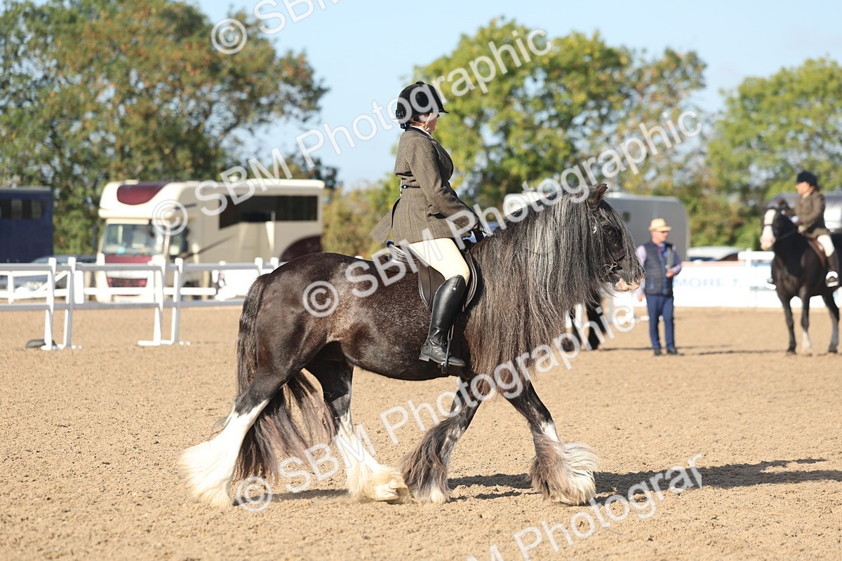 SBM_22198 - Class 802 - Ridden Groom Helpers Class