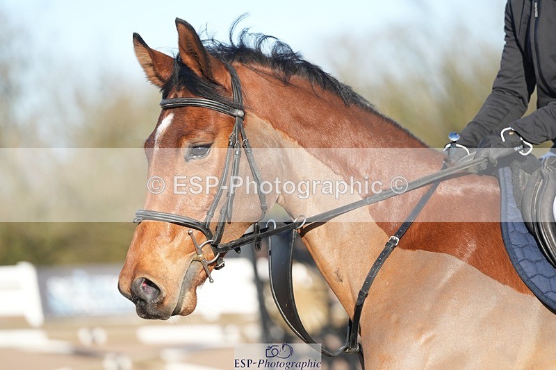 251129-112949-00304 - 70cm