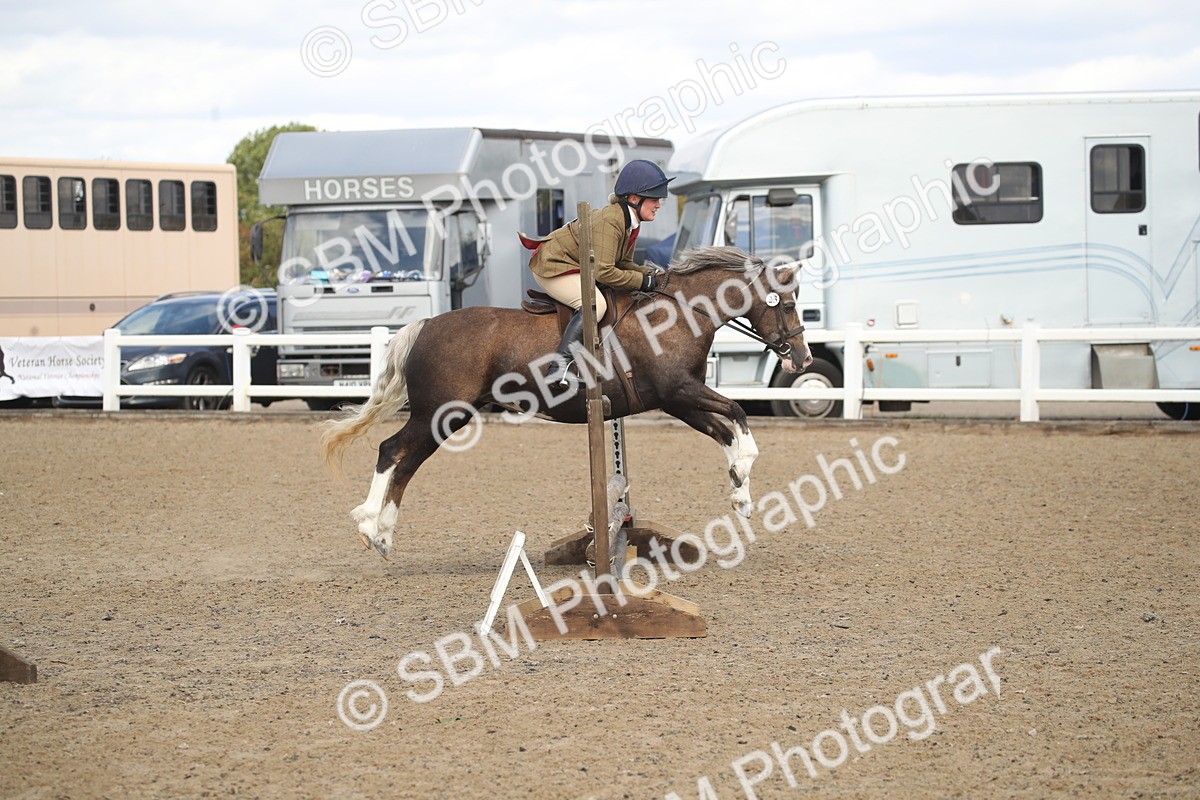 SBM_15175 - Class 505b - M&M Working Veteran - 50cm (20+)