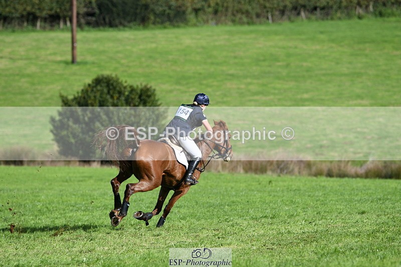 251024A-131811-11982 - B-154-Holly.Law